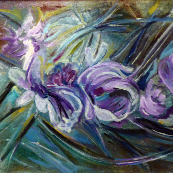 14. I fiori del rosmarino 14. I fiori del rosmarino