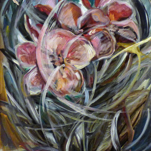 17. Il fiore del lauro 17. Il fiore del lauro